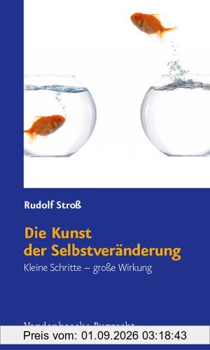 Die Kunst der Selbstveränderung: Kleine Schritte - große Wirkung