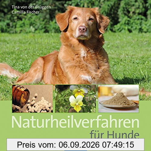 Naturheilverfahren für Hunde