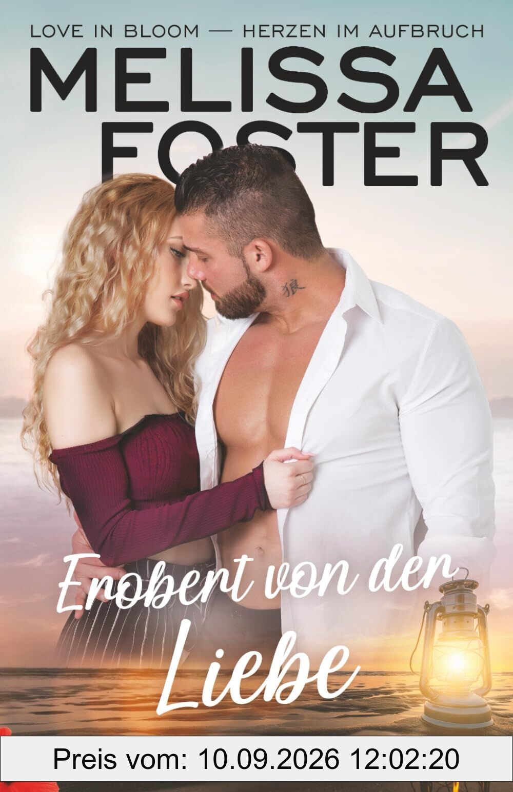 Erobert von der Liebe: Archer Steele (Die Steeles auf Silver Island, Band 3)