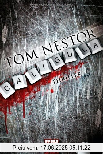 Binding : Taschenbuch, Edition : 1, Label : Bastei Lübbe (Bastei Verlag), Publisher : Bastei Lübbe (Bastei Verlag), medium : Taschenbuch, numberOfPages : 448, publicationDate : 2010-08-28, authors : Tom Nestor, languages : german, ISBN : 3404164350