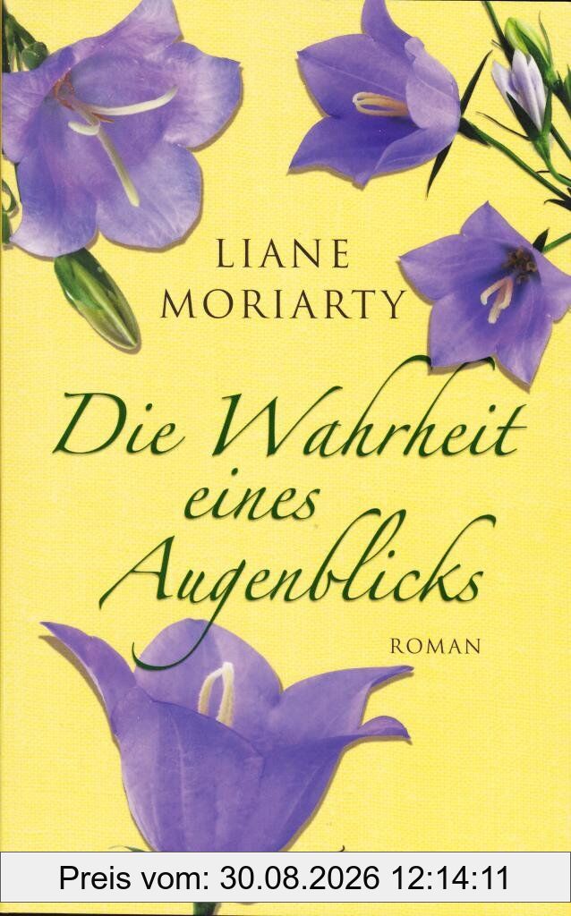 Die Wahrheit eines Augenblicks: Roman