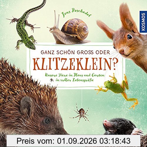 Ganz schön groß oder klitzeklein?: Unsere Tiere in Haus und Garten in voller Lebensgröße