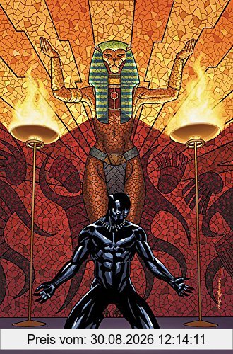 Black Panther Book 4: Avengers of the New World Book 1