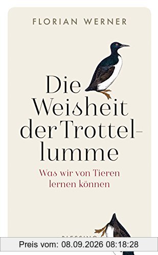 Die Weisheit der Trottellumme: Was wir von Tieren lernen können