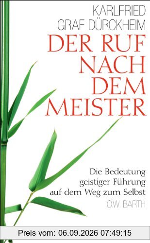 Der Ruf nach dem Meister: Die Bedeutung geistiger Führung auf dem Weg zum Selbst