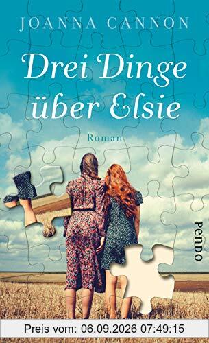 Drei Dinge über Elsie: Roman
