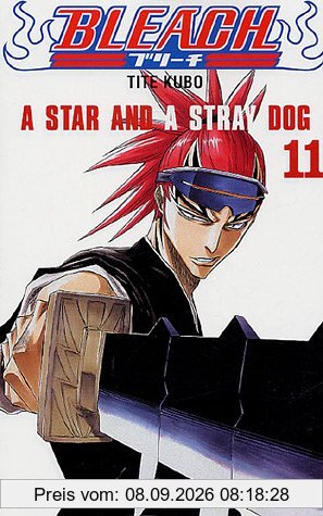 Bleach. Vol. 11. A star and a stray dog