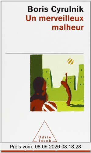 Un merveilleux malheur