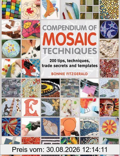 Compendium of Mosaic Techniques: 200 Tips, Techniques, Trade Secrets and Templates