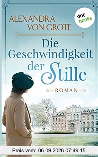 Die Geschwindigkeit der Stille: Roman