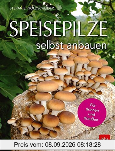 Speisepilze selbst anbauen: Für drinnen und draußen