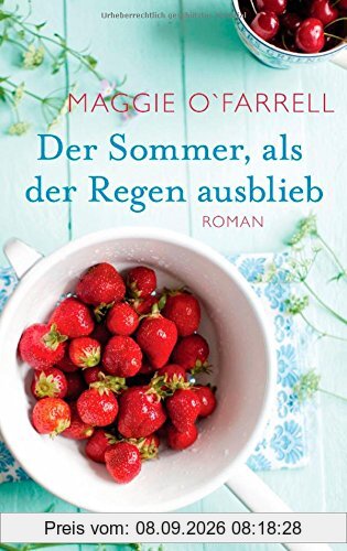 Der Sommer, als der Regen ausblieb: Roman