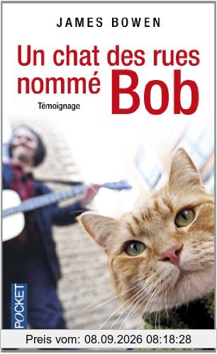 Un chat des rues nommé Bob : témoignage
