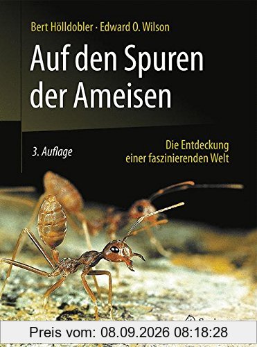 Auf den Spuren der Ameisen: Die Entdeckung einer faszinierenden Welt