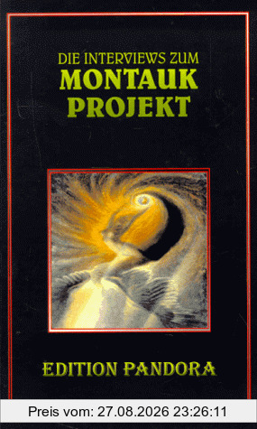 Die Interviews zum Montauk-Projekt: IV