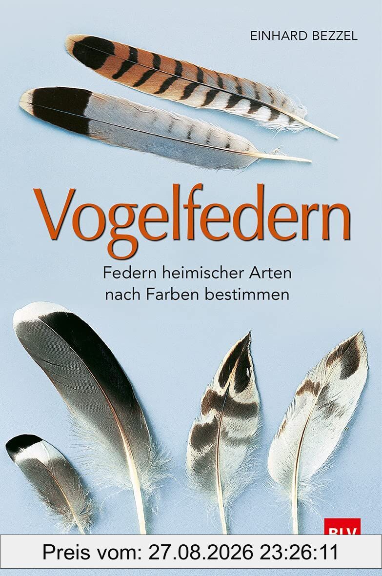 Vogelfedern