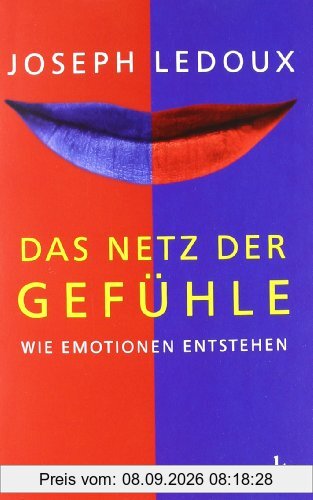 Das Netz der Gefühle: Wie Emotionen entstehen