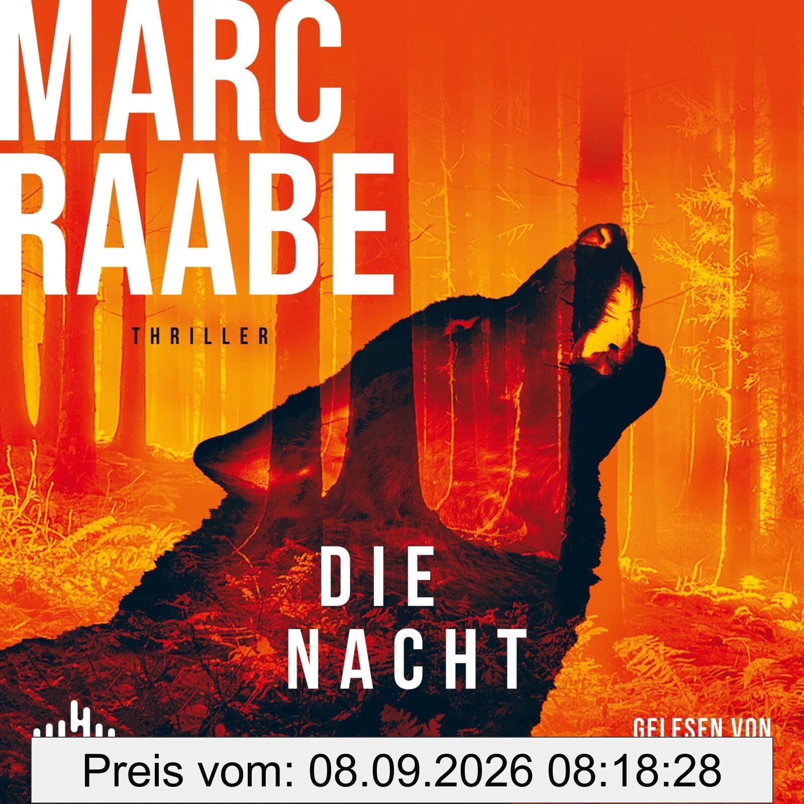 Die Nacht (Art Mayer-Serie 3): 2 CDs | Bestseller von Marc Raabe bringen Sie um den Schlaf!