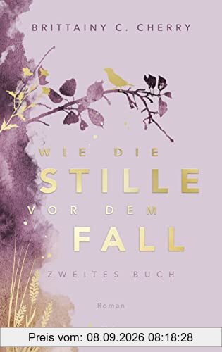 Wie die Stille vor dem Fall. Zweites Buch: Special Edition (Chances-Reihe)