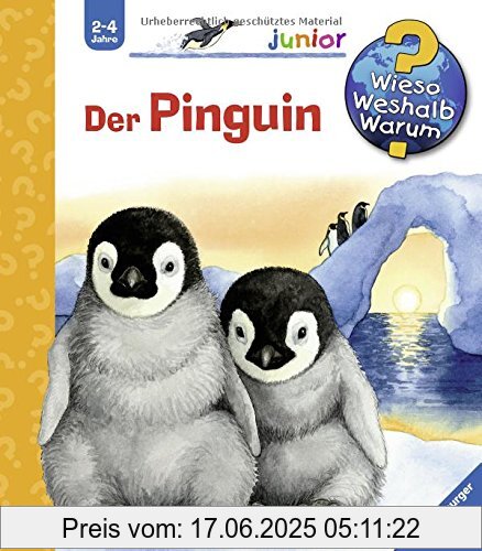 Binding : Spiralbindung, Edition : 1, Label : Ravensburger Buchverlag, Publisher : Ravensburger Buchverlag, medium : Sonstige Einbände, numberOfPages : 16, publicationDate : 2016-06-26, authors : Daniela Prusse, languages : german, ISBN : 3473326526