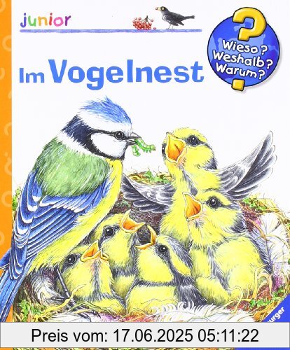 Brand : Ravensburger, Binding : Spiralbindung, Edition : 2, Label : Ravensburger Buchverlag, Publisher : Ravensburger Buchverlag, Feature : 15mm x 180mm x 195mm, medium : Sonstige Einbände, numberOfPages : 16, publicationDate : 2011-01-01, authors : Andrea Erne, languages : german, ISBN : 3473328510