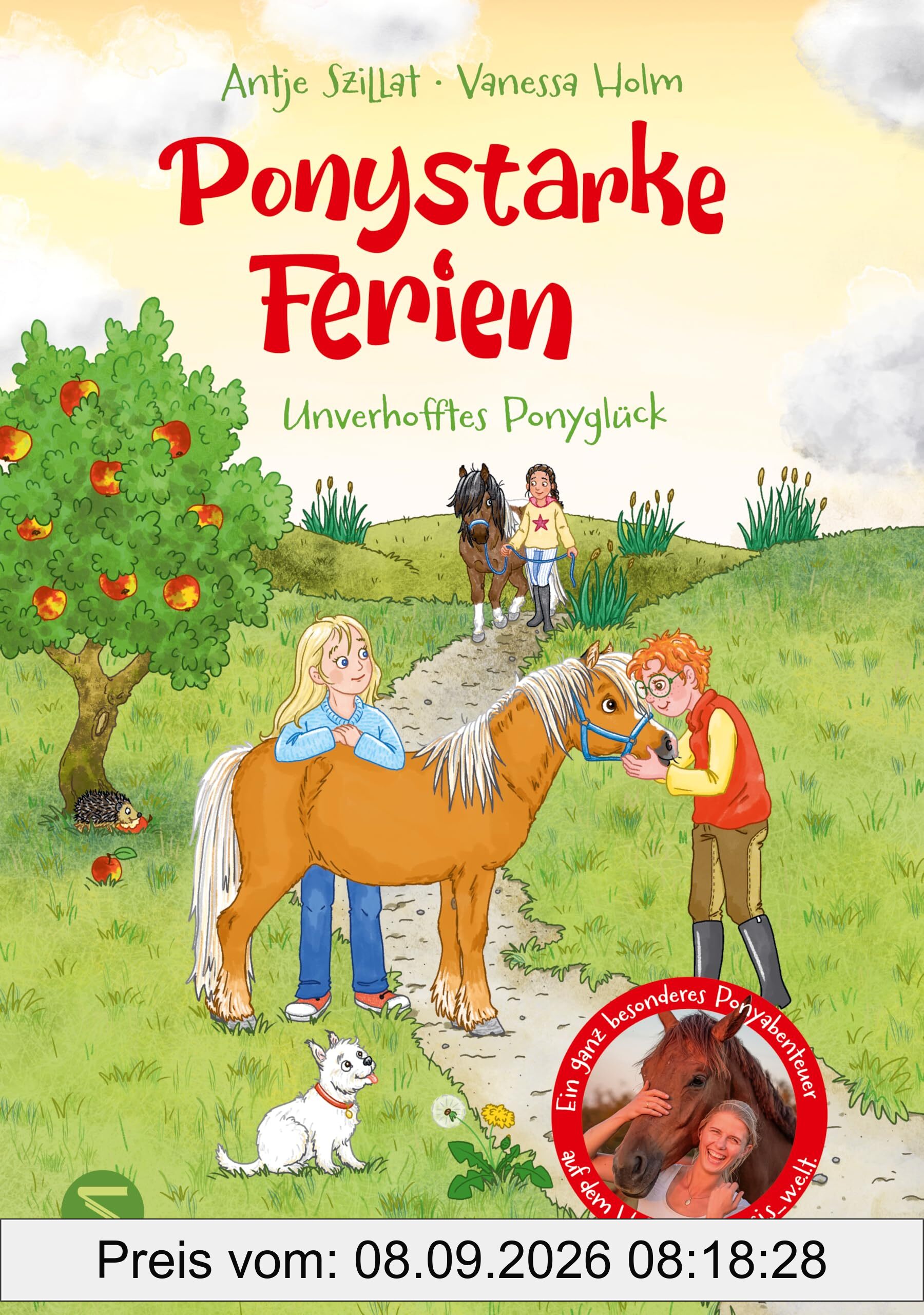 Ponystarke Ferien. Unverhofftes Ponyglück (Band 2)