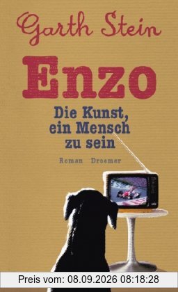 Enzo. Die Kunst, ein Mensch zu sein: Roman