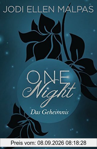 One Night - Das Geheimnis: Die One Night-Saga 2