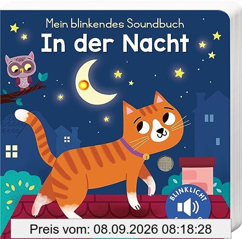 Mein blinkendes Soundbuch – In der Nacht: Sound mit 1 LED | Die innovative Soundreihe für die Allerkleinsten ab 12 Monaten