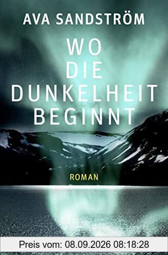 Wo die Dunkelheit beginnt: Roman