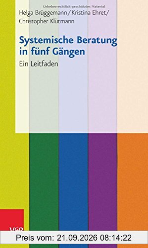 Systemische Beratung in fünf Gängen: Ein Leitfaden