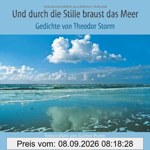 Und durch die Stille braust das Meer: Gedichte von Theodor Storm