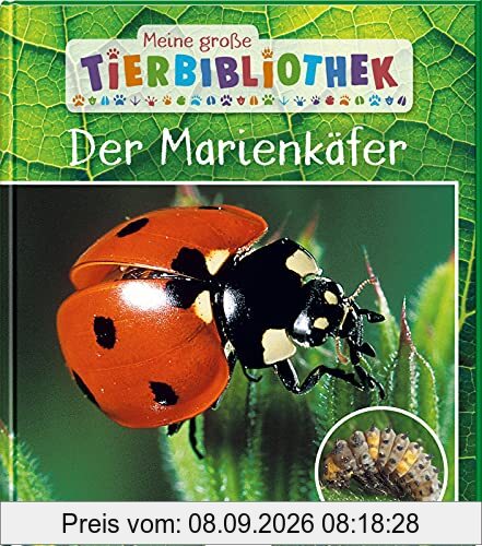 Meine große Tierbibliothek: Der Marienkäfer: Sachbuch für Vorschule & Grundschule