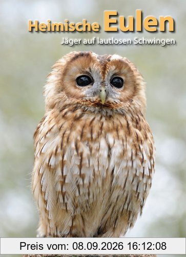 Heimische Eulen: Jäger auf lautlosen Schwingen