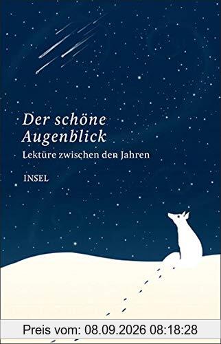 Lektüre zwischen den Jahren: Der schöne Augenblick (insel taschenbuch)
