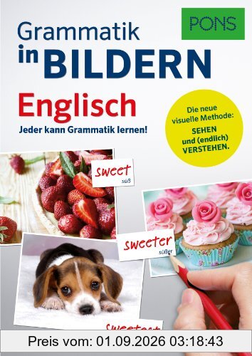 PONS Grammatik in Bildern Englisch: Jeder kann Grammatik lernen!