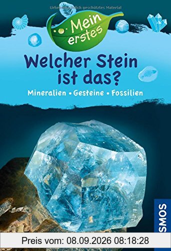 Mein erstes Welcher Stein ist das?: Mineralien, Gesteine, Fossilien