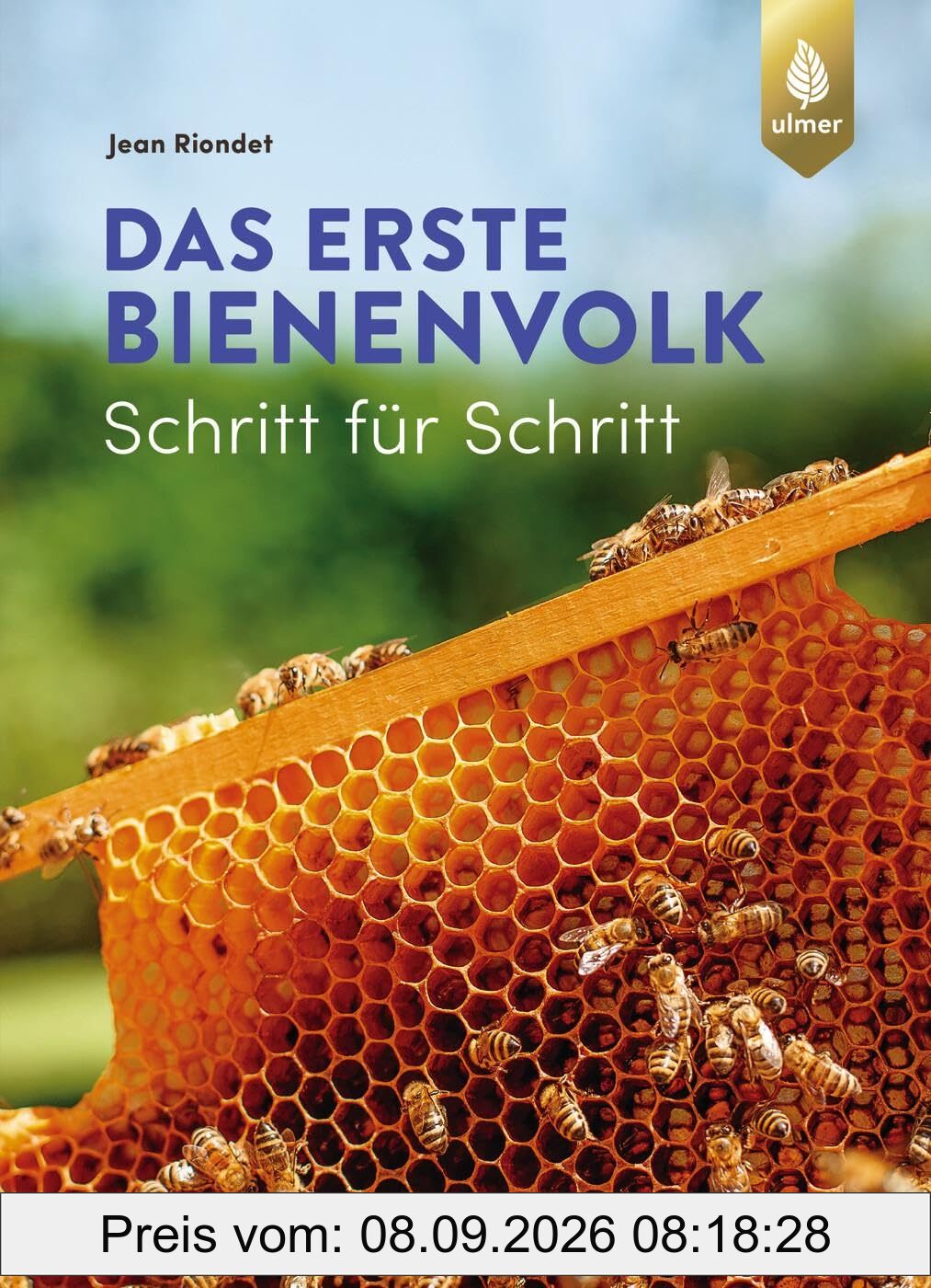 Das erste Bienenvolk – Schritt für Schritt