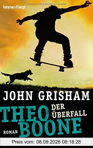 Theo Boone - Der Überfall: Band 4 (Jugendbücher - Theo Boone, Band 4)