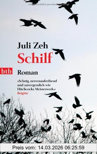 Juli Zeh Schilf, Roman