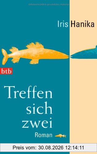 Treffen sich zwei: Roman