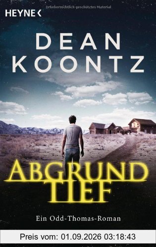 Abgrundtief: Odd Thomas 6 - Roman