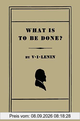 What Is to Be Done? [Burning Questions of Our Movement]