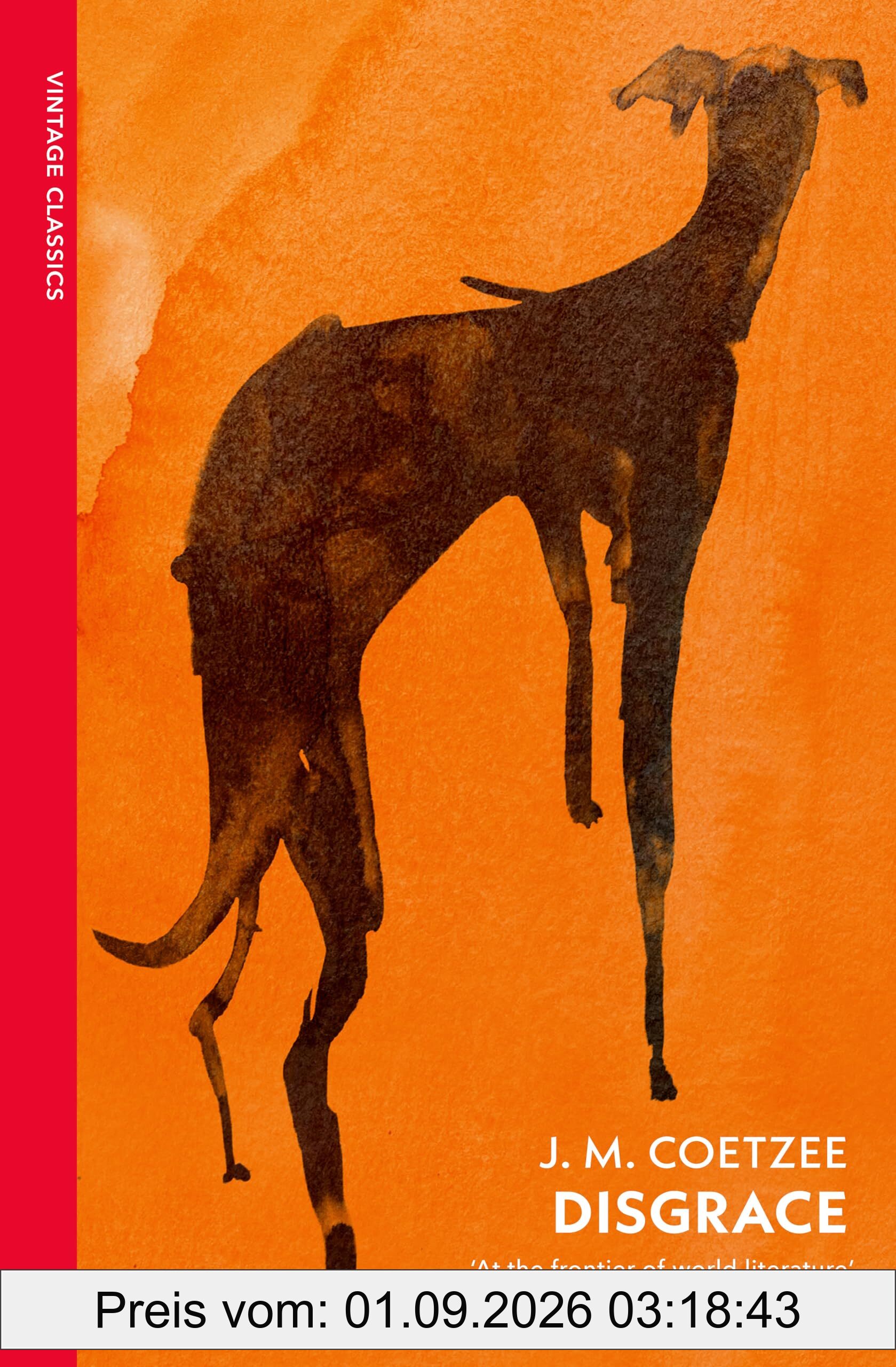 Disgrace: A BBC Radio 4 Good Read (Vintage Classics)