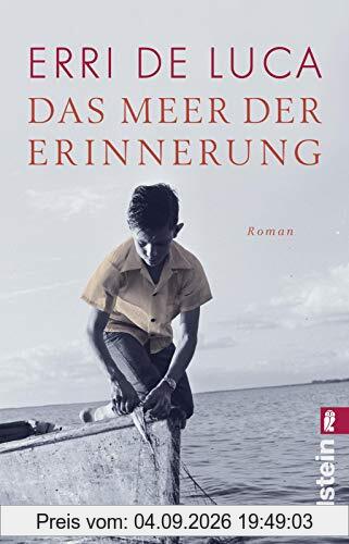 Das Meer der Erinnerung: Roman