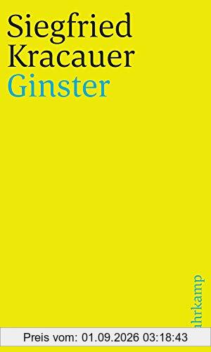 Ginster: Roman