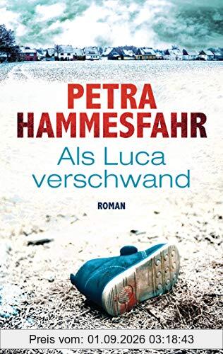 Als Luca verschwand: Roman