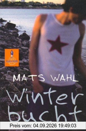 Winterbucht: Roman (Gulliver)