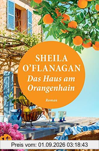 Das Haus am Orangenhain: Roman (insel taschenbuch)