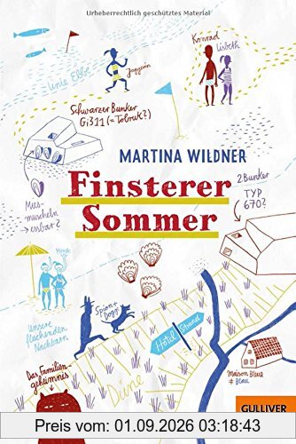 Finsterer Sommer: Roman